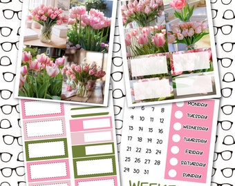 Tulips Just Boxes Mini Sticker Kit