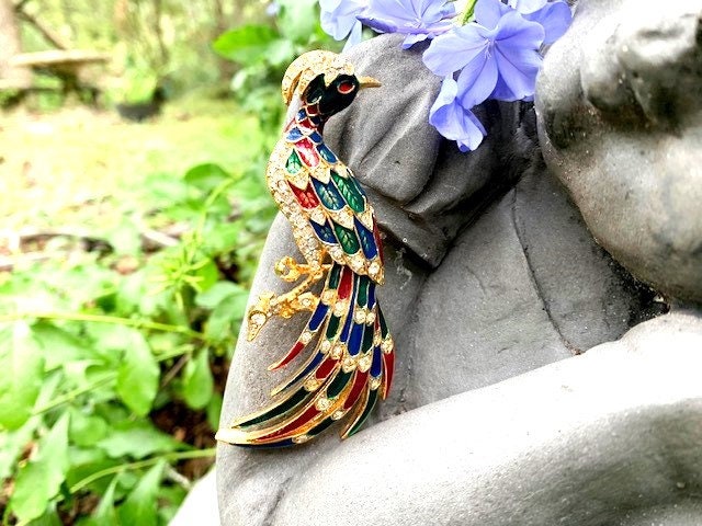 Kleurrijke papegaai pin - België