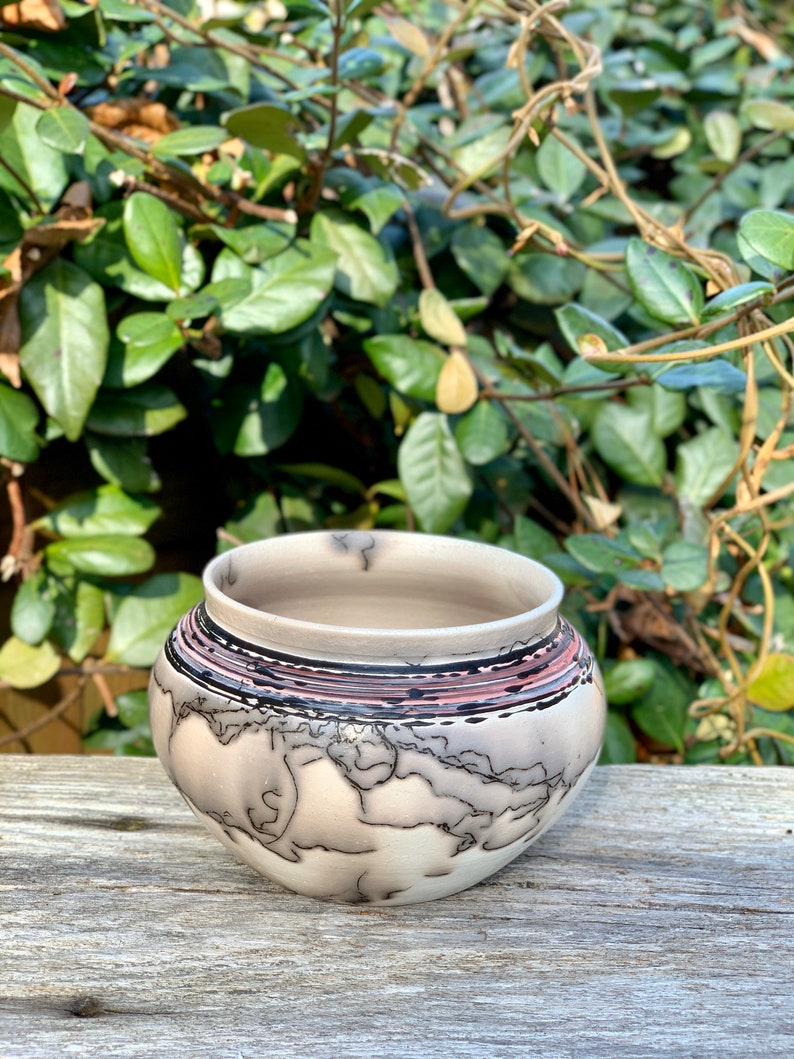 Ombre/'s Rescue Horsehair Raku