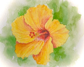 Téléchargement gratuit Images Yellow Hibiscus 4 24x24 Original Art Flower Painting Etsy actualisé