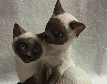 Two Siamese Kittens on Pillow by Aynsley (#076)