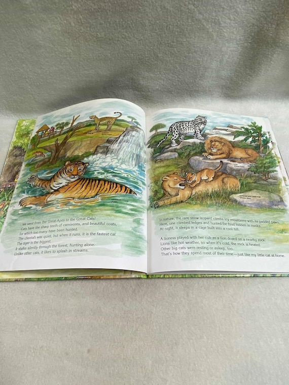 Vintage Children's Book (1997) - 'my Visit to the Zoo' (#BK512) - Etsy