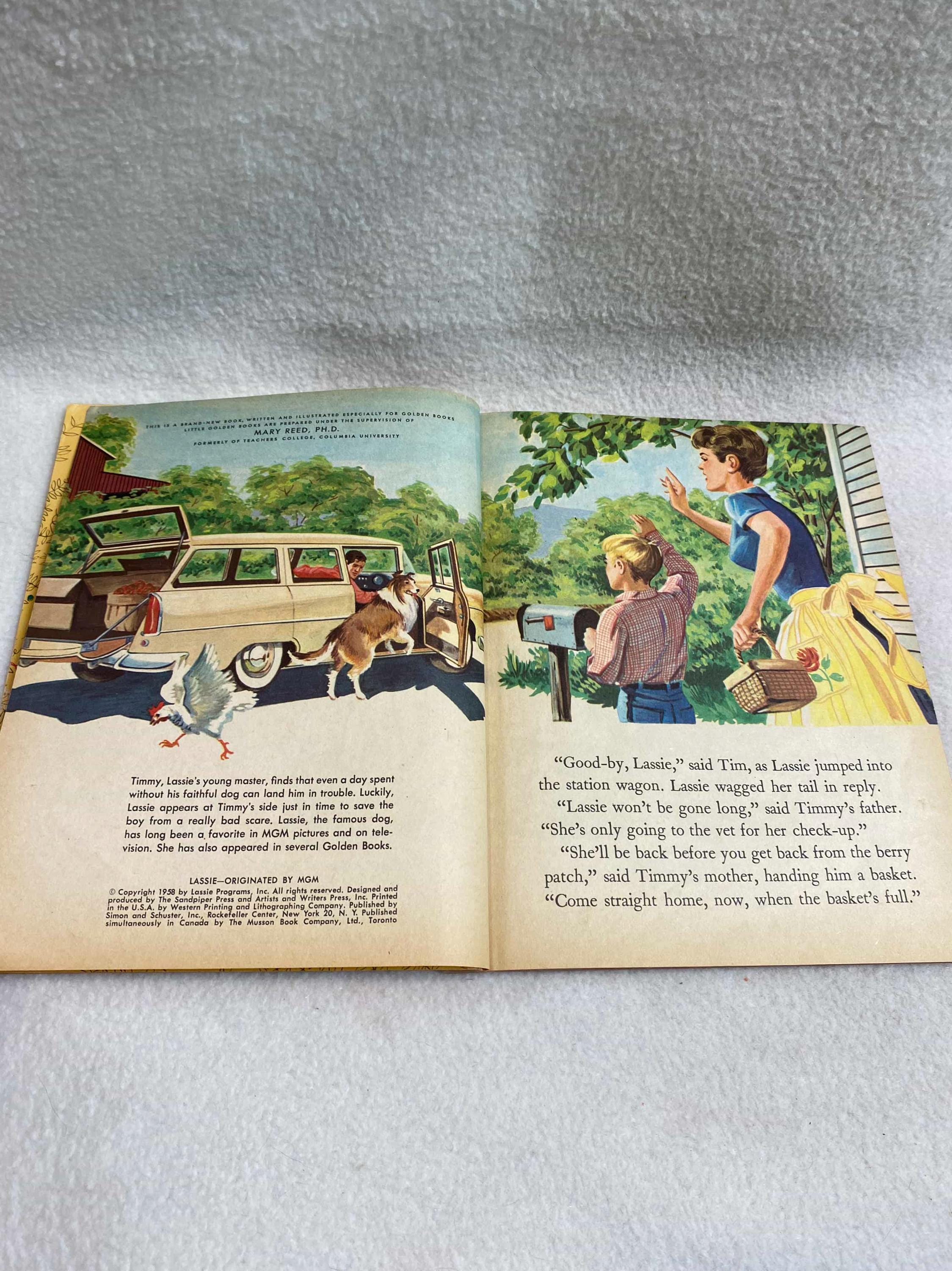 Vintage Little Golden First Edition Children's Book (1958