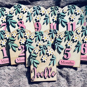Daisy Flower Arched Milestone Markers | Baby Monthly Milestone Markers | Baby Photo Props | Newborn and Birth Announcement