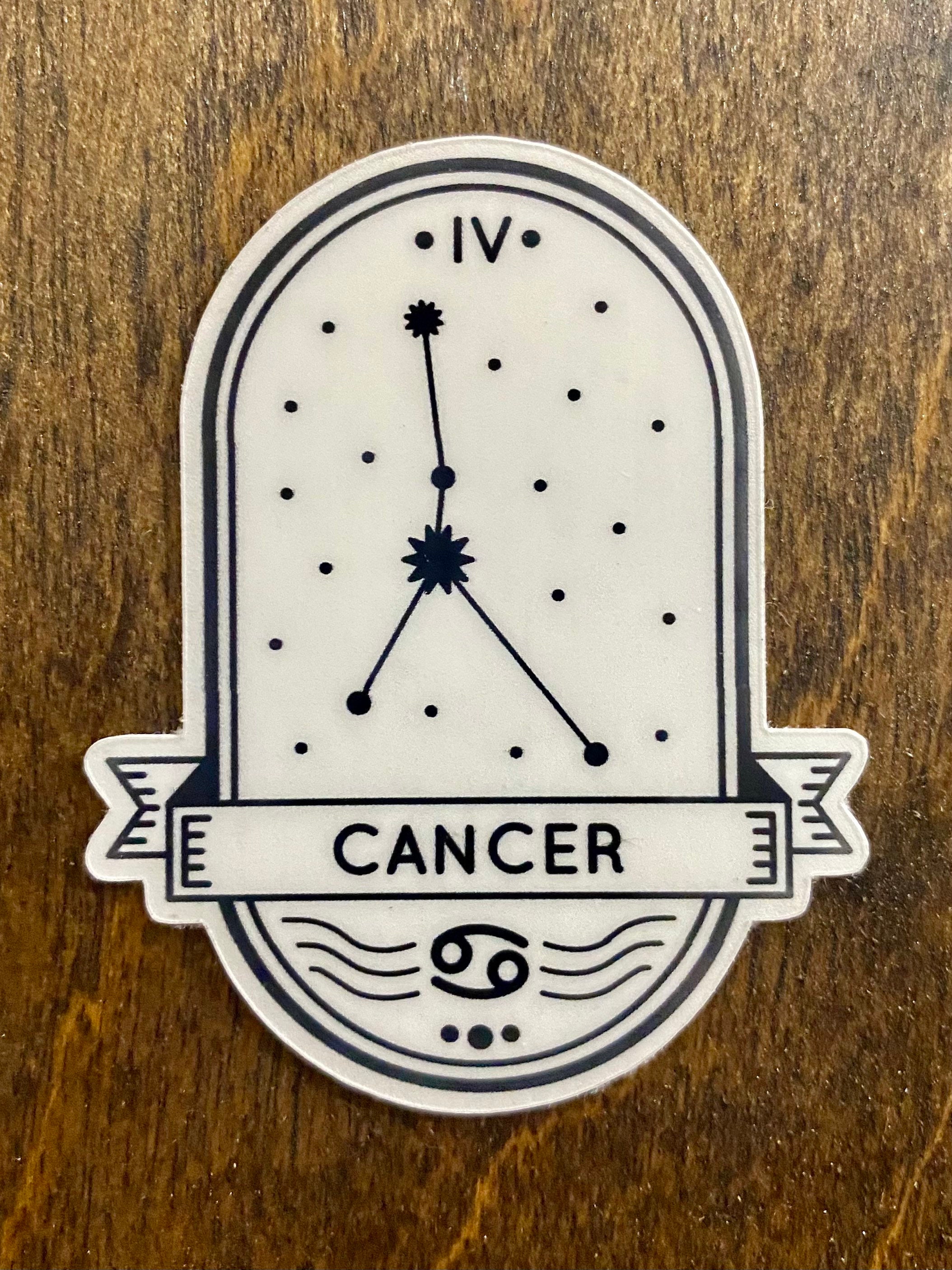 Zodiac Sign Stickers Individual or Set Etsy