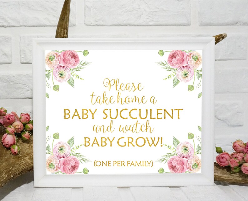 Succulent Baby Shower Decorations Girl Pink Favor Sign Watch Etsy