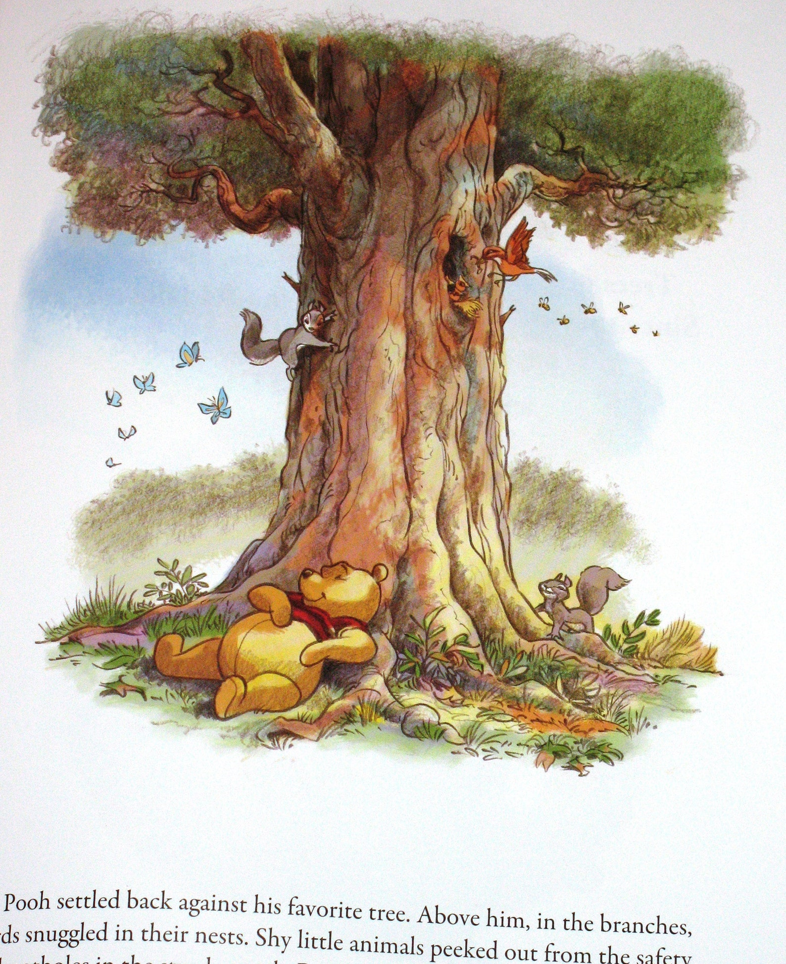 orange tree winnie the pooh