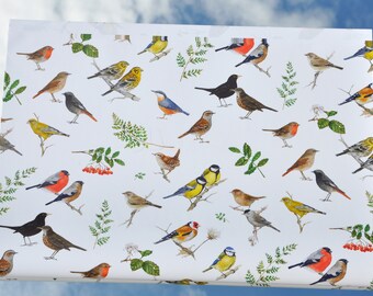 Gartenvögel - Geschenkpapier (Grundpreis:6,63Euro/Quadratmeter)