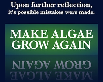 Make Algae Grow Again Sticker | Political Satire | Reflecting Pool Decal | News | Humor | Waterproof Vinyl