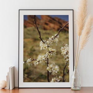 Photographie imprimable Red Rock Amphitheatre, Flower Wall Art, Art mural grand, Spring Time Prints, Landscape Photo, Colorado Photo