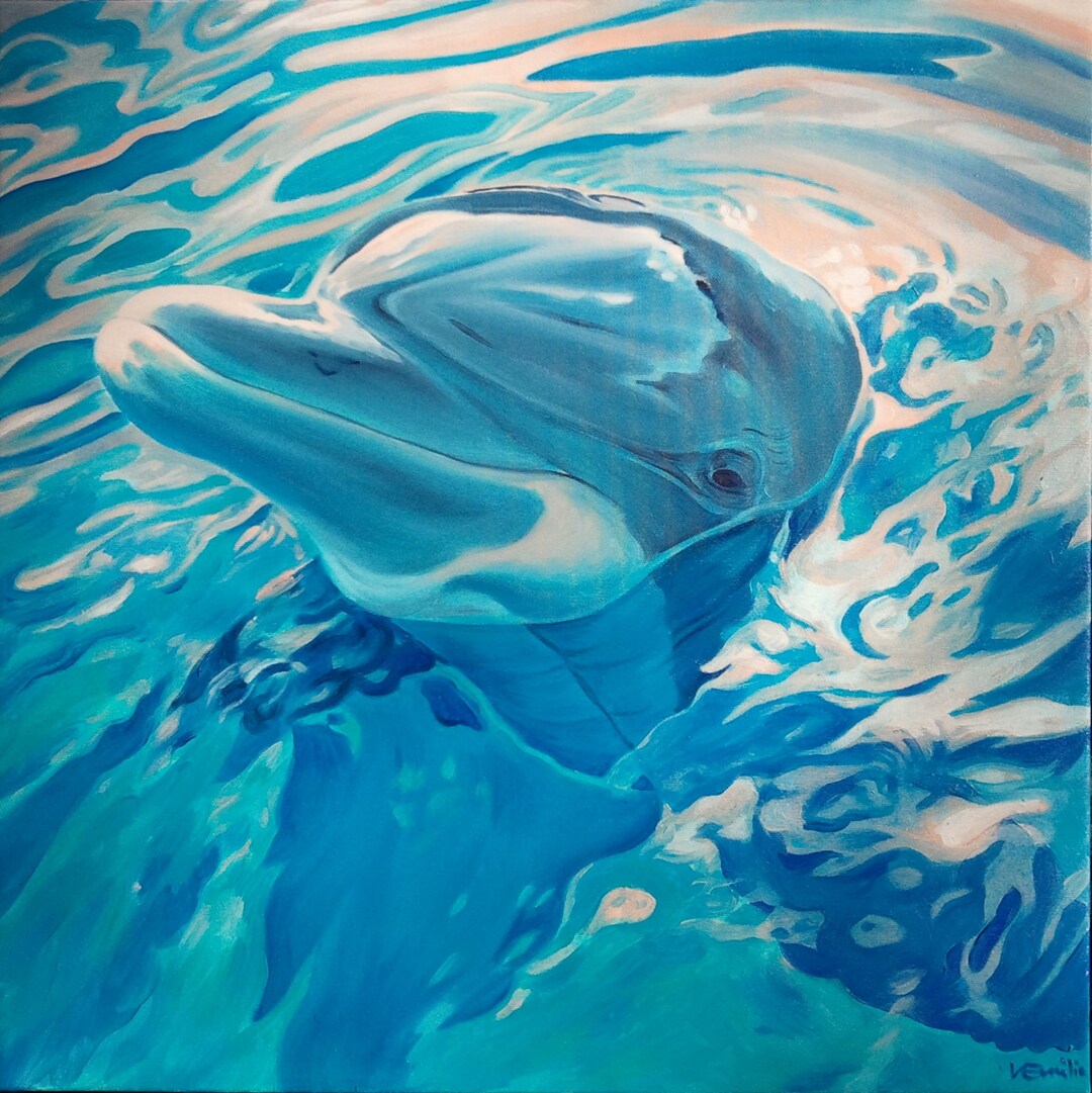 Fungie the Dingle Dolphin Memory Card Set Etsy