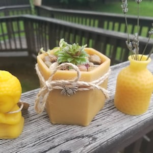 May include: Three small, yellow, beeswax candles. One candle is shaped like a meditating Buddha, another is a hexagonal planter with a small succulent plant, and the third is a small vase with dried lavender.