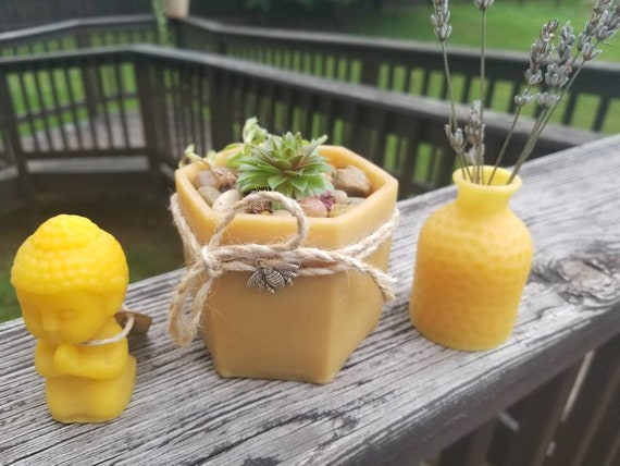 Hand Poured Beeswax Dish: Candy, Planter, Coin & Tea Light Holder - Etsy