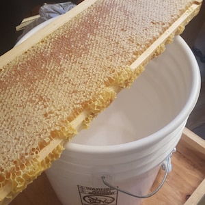 Raw beeswax rendered and ready for your use - make lip balm or lotion - melt down for your own project - my local beeswax nothing added