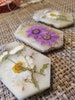 Wax sachet, white beeswax, pressed flowers, closet freshener, variety of fragrances, window decor, area freshener 