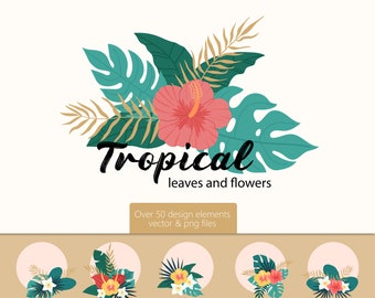 Tropical Leaves png and flowers png. 45 png files Green Leaves of Palm, monstera leaves, hibiscus. Vector and Clipart