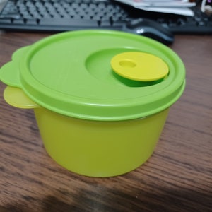 Tupperware Soup Box Green