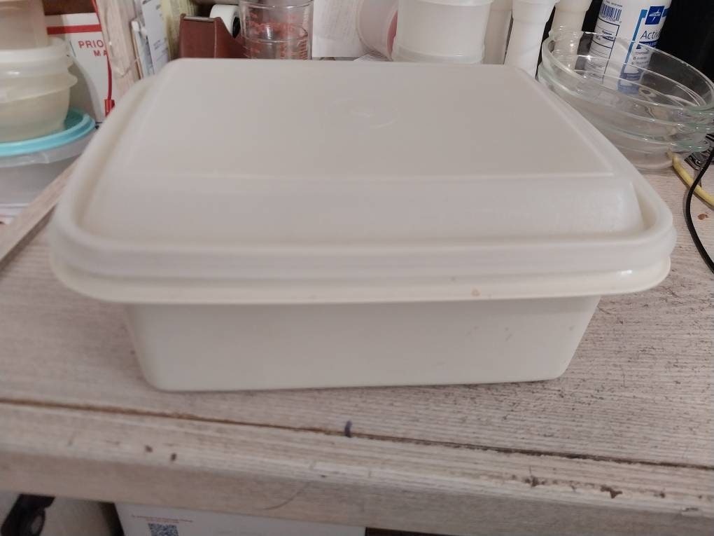 Vintage Tupperware Opaque Rectangular Big Freeze Containers your