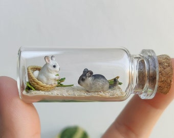 Cute chinchilla habitat in a glass-bottle / unique miniature figure/ handmade artwork / customizable