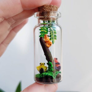 Könnte beinhalten: Eine kleine, transparente Glasflasche mit Korken, die ein Miniatur-Terrarium enthält. Im Inneren befinden sich drei farbenfrohe Froschfiguren auf einem kleinen Ast mit grünem Laub. Die Frösche sind gelb, orange und rot.