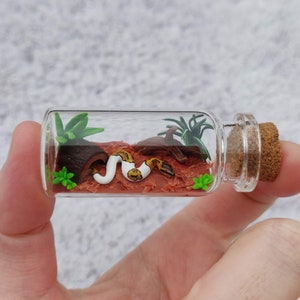 tiny cute ball python in a glass-bottle / unique miniature figure/ handmade artwork / different Morphs