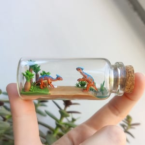 Könnte beinhalten: Ein Miniatur-Dinosaurier-Diorama in einer durchsichtigen Glasflasche mit Korken. Zwei orangefarbene und blaue Dinosaurier stehen auf einem sandigen Untergrund mit Miniaturbäumen und grünen Pflanzen. Die Flasche wird von einer Person gehalten.