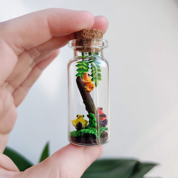 Drei kleine Pfeilgiftfrösche in Glasflasche /einzigartige Miniatur Figur /handgemachtes Kunstwerk