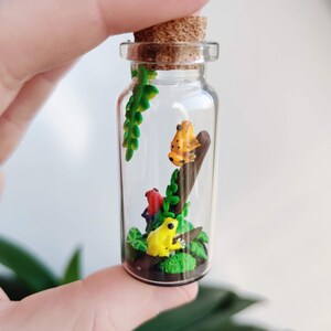 K&ouml;nnte beinhalten: Ein Miniatur-Terrarium in einer transparenten Glasflasche mit einem Korken. Im Inneren befinden sich drei bunte Froschfiguren, ein kleiner Ast und gr&uuml;nes Laub. Die Fr&ouml;sche sind gelb und orange mit schwarzen Punkten. Die Flasche wird von einer Hand gehalten.