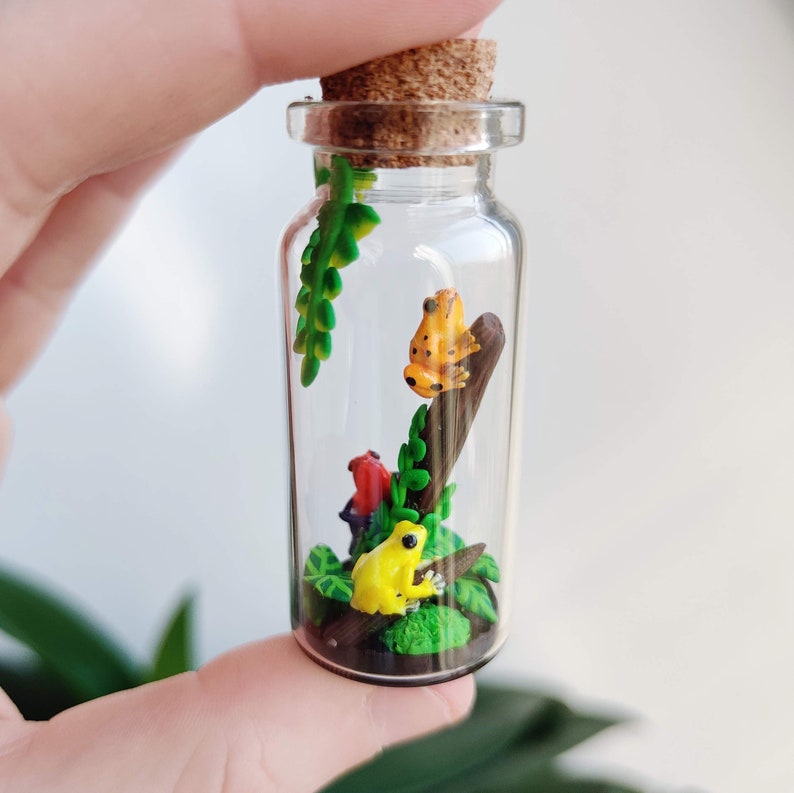 K&ouml;nnte beinhalten: Ein Miniatur-Terrarium in einer transparenten Glasflasche mit einem Korken. Im Inneren befinden sich drei bunte Froschfiguren, ein kleiner Ast und gr&uuml;nes Laub. Die Fr&ouml;sche sind gelb und orange mit schwarzen Punkten. Die Flasche wird von einer Hand gehalten.