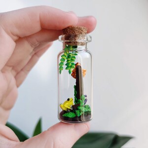 K&ouml;nnte beinhalten: Kleine Glasflasche mit Korken, die eine Miniatur-Szene enth&auml;lt. Im Inneren sitzt ein gelber Frosch in der N&auml;he eines braunen Baumstamms, mit einem Schmetterling und gr&uuml;nen Bl&auml;ttern. Die Flasche wird in einer Hand gehalten.