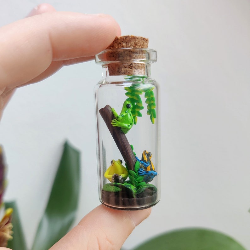 K&ouml;nnte beinhalten: Kleine, transparente Glasflasche mit Korken, gef&uuml;llt mit einem Miniatur-Diorama von drei bunten Fr&ouml;schen. Ein gr&uuml;ner Frosch sitzt auf einem Ast, gelbe und blaue Fr&ouml;sche am Boden, mit gr&uuml;nem Laub.