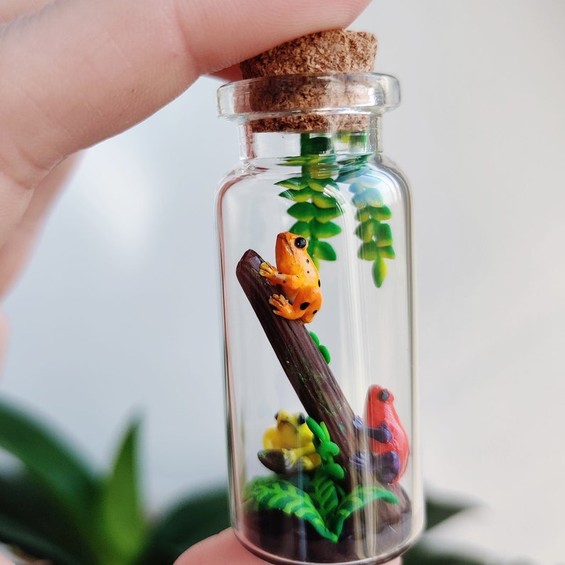 K&ouml;nnte beinhalten: Eine kleine, transparente Glasflasche mit Korken, gef&uuml;llt mit bunten Miniaturfr&ouml;schen und Gr&uuml;nzeug. Die Fr&ouml;sche sind orange, gelb und rot und sitzen auf einem braunen Ast. Die Flasche wird in einer Hand gehalten.