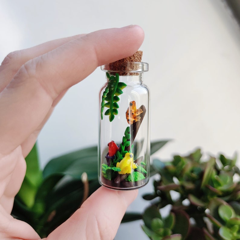K&ouml;nnte beinhalten: Ein Miniatur-Terrarium in einer durchsichtigen Glasflasche mit Korken. Im Inneren befinden sich farbenfrohe Tonfiguren von Fr&ouml;schen, Pflanzen und Pilzen. Die Flasche wird in einer Hand gehalten, mit einem verschwommenen gr&uuml;nen Hintergrund.