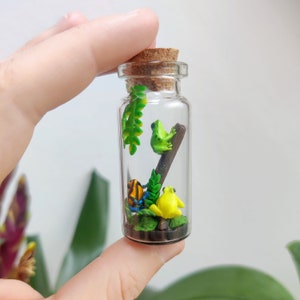 K&ouml;nnte beinhalten: Eine kleine, transparente Glasflasche mit Korken, gef&uuml;llt mit bunten Miniaturfr&ouml;schen und Gr&uuml;nzeug. Die Fr&ouml;sche sind gelb, gr&uuml;n und blau mit schwarzen Streifen, die auf einem braunen Ast und gr&uuml;nen Bl&auml;ttern sitzen.