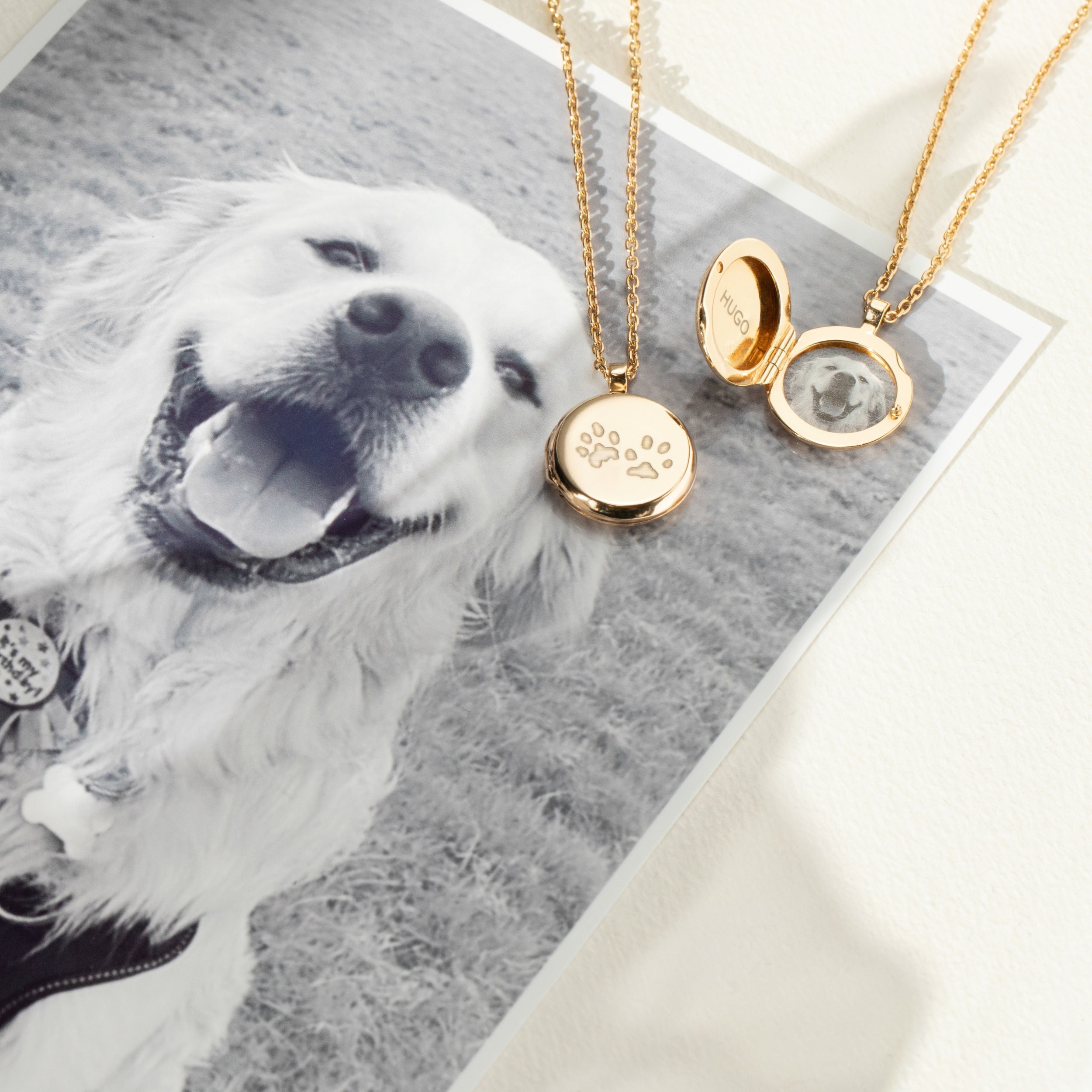 Puppy locket sale