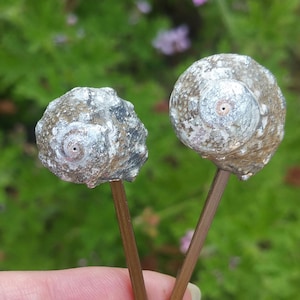 2 Large Seashell Hair Pins, Large bobby pins, shell hair pin set, mermaid hair pins, shell hair barrettes, spiral shell bobby pins