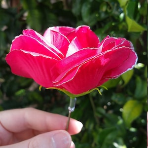 Single Fuchsia Rose Hair Pins, silk rose hair accessories, roses for hair, rose hair barrettes, silver and hot pink fuchsia roses, valentine