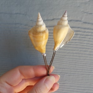 2 Large Seashell Hair Pins, Large bobby pins, shell hair pin set, mermaid hair pins, shell hair barrettes, conical shell bobby pins, mermaid