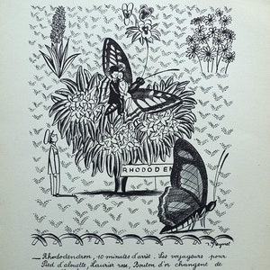 PEYNET Raymond - The rhododendron- Humorous signed ETCHING - 1943