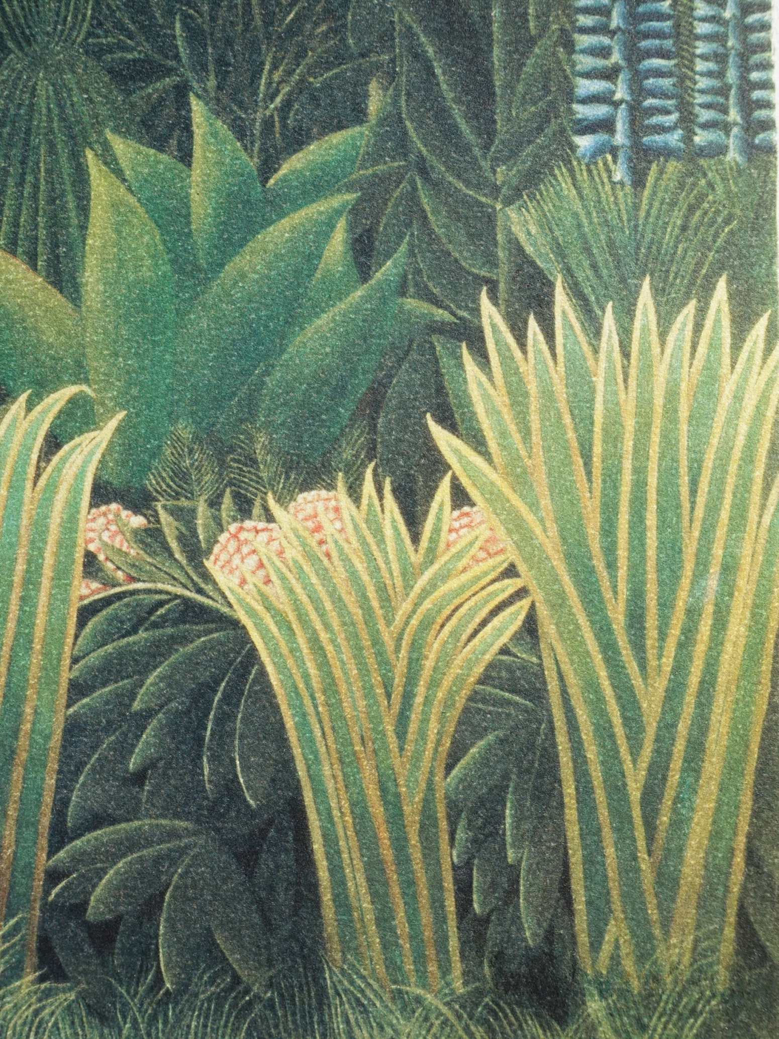 The Snake Charmer Rousseau