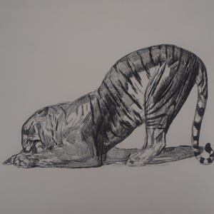 Acquaforte originale Paul Jouve – Tigre con preda ca.1931 – Arte animale – Vélin 42x50 cm