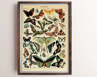 Butterflies Vintage Print, Butterflies Poster, Antique Butterflies Print, Butterfly Art, Home Decor, Home Art, Kitchen Wall Art, Kitchen Art