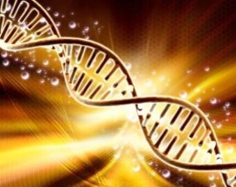 DNA *Light Code Activation*