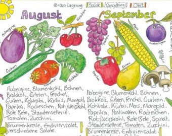 Seasonal and regional fresh produce poster for Germany