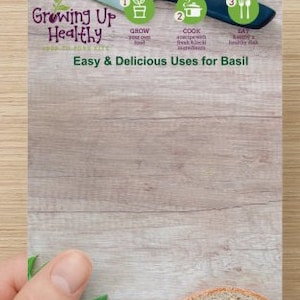 Carte de recette basilic