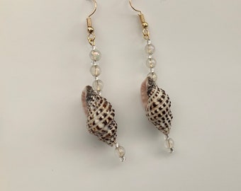 Shell Dangle Earrings
