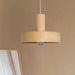 see more listings in the CEILING LIGHTS section