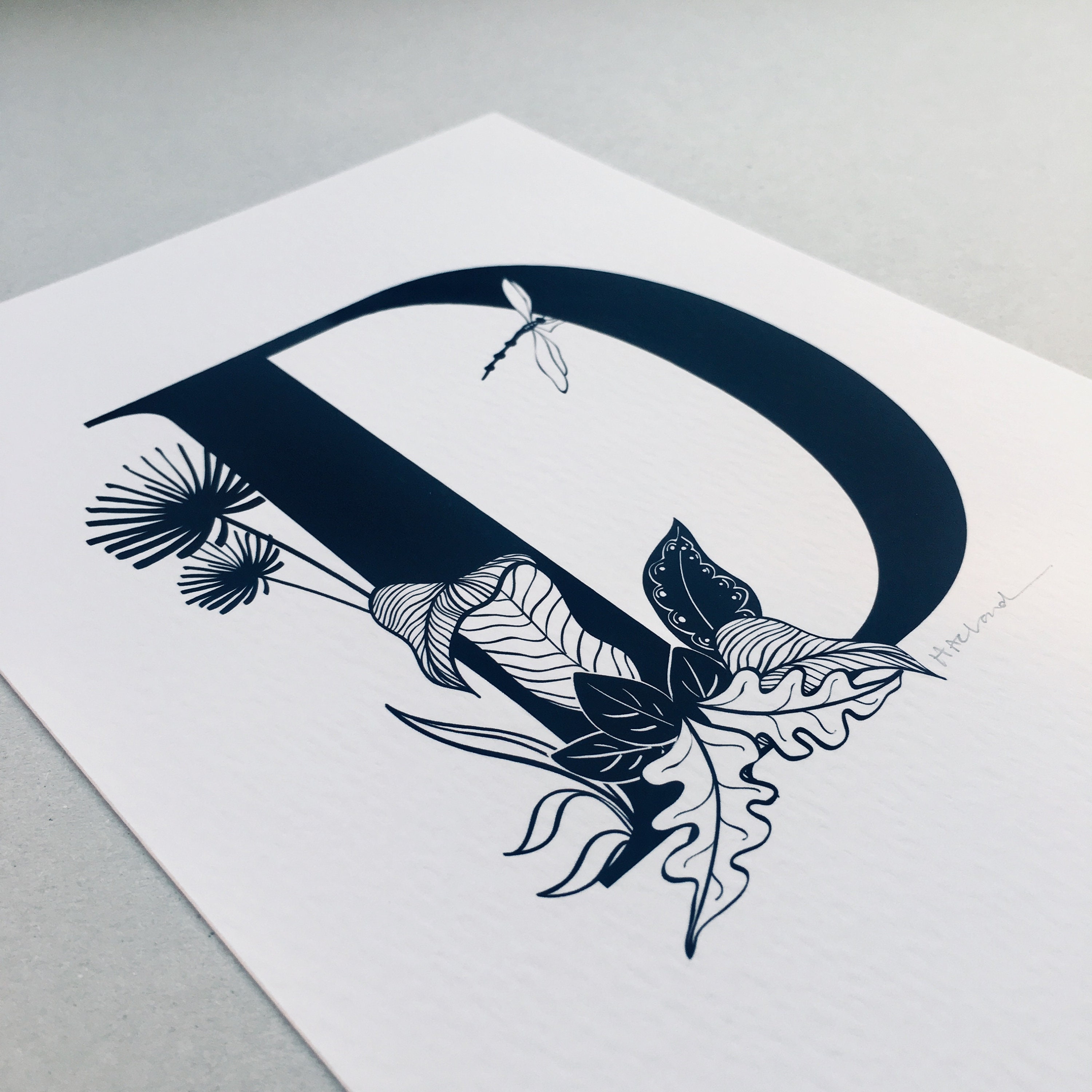 Initial Letter Illustrations A - D, Botanical Art Design , Alphabet ...