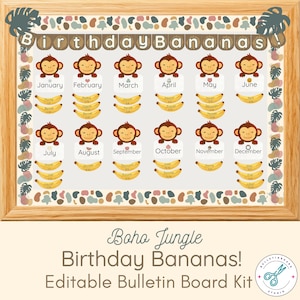 Può includere: Un kit per bacheca con cornice in legno chiaro e bordo con forme astratte colorate e foglie di monstera. Il centro mostra il testo Birthday Bananas! con dodici illustrazioni di scimmie, ciascuna etichettata con mese e cartellini a forma di banana.