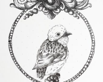 Pen and ink drawing , Royal bird, Painting for decoration , interior design